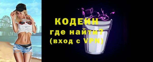 стафф Каменка