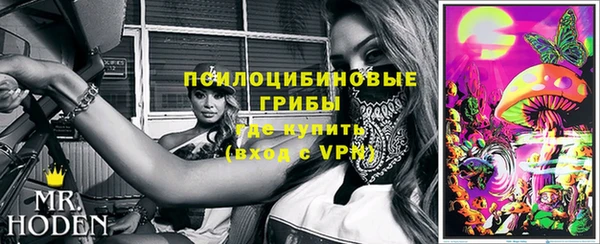 стафф Каменка