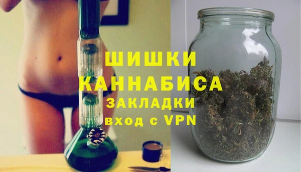 стафф Каменка