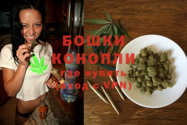 стафф Каменка