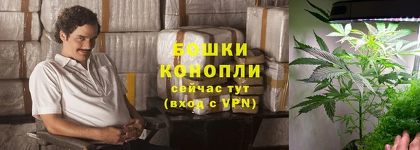стафф Каменка