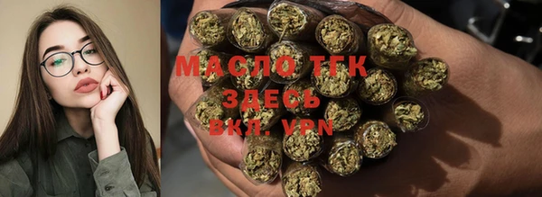 стафф Каменка