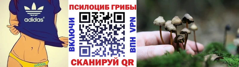 Купить закладки  Шиханы  Псилоцибиновые грибы прущие грибы 