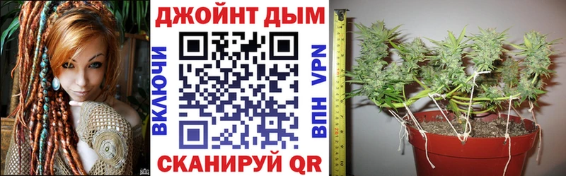 Канабис планчик  Купить где  Шиханы 
